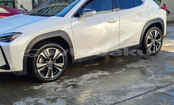 Buy Used Lexus UX White Car in Baki in Abseron Buy Used Lexus UX White Car in Baki in Abseron