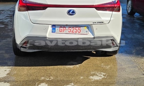 Buy Used Lexus UX White Car in Baki in Abseron Buy Used Lexus UX White Car in Baki in Abseron