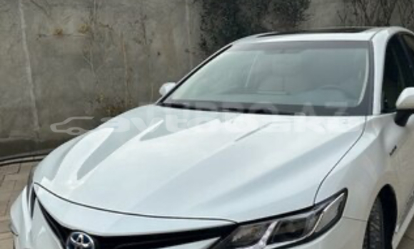 Buy Used Toyota Camry White Car in Baki in Abseron Buy Used Toyota Camry White Car in Baki in Abseron