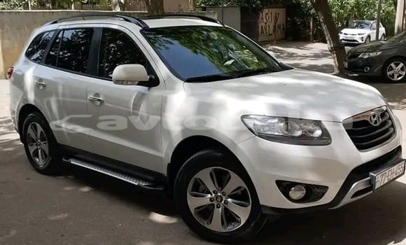 Buy Used Hyundai Santa Fe White Car in Ali Bayramli in Mugan-Salyan Buy Used Hyundai Santa Fe White Car in Ali Bayramli in Mugan-Salyan