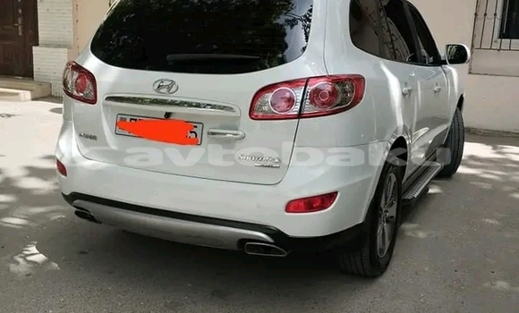 Buy Used Hyundai Santa Fe White Car in Ali Bayramli in Mugan-Salyan Buy Used Hyundai Santa Fe White Car in Ali Bayramli in Mugan-Salyan