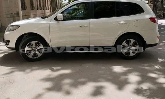Buy Used Hyundai Santa Fe White Car in Ali Bayramli in Mugan-Salyan Buy Used Hyundai Santa Fe White Car in Ali Bayramli in Mugan-Salyan