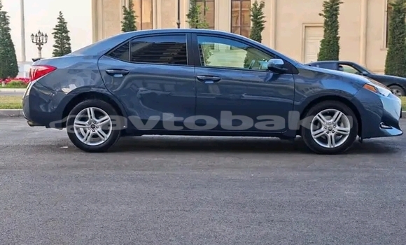 Buy Used Toyota Corolla Other Car in Astara in Lankaran Buy Used Toyota Corolla Other Car in Astara in Lankaran