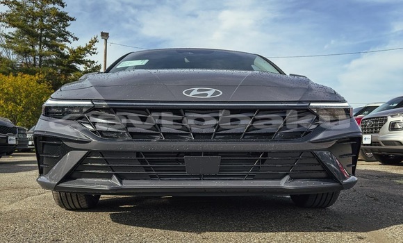 Buy New Hyundai Elantra Black Car in Bilasuvar in Mugan-Salyan Buy New Hyundai Elantra Black Car in Bilasuvar in Mugan-Salyan