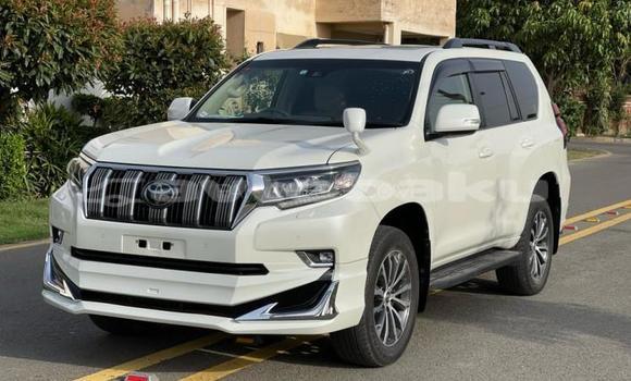 Buy Used Toyota Land Cruiser Prado White Car in Baki in Abseron