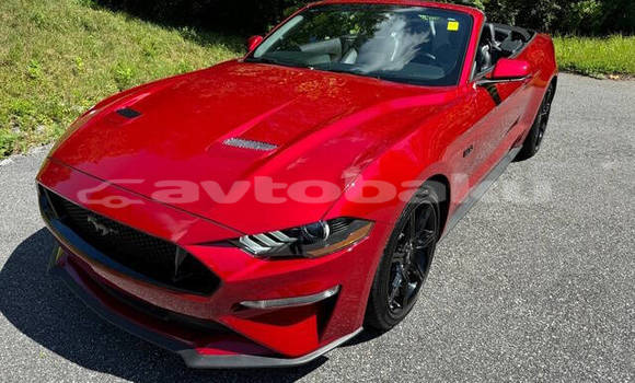Buy Used Ford Mustang Red Car in Baki in Abseron Buy Used Ford Mustang Red Car in Baki in Abseron