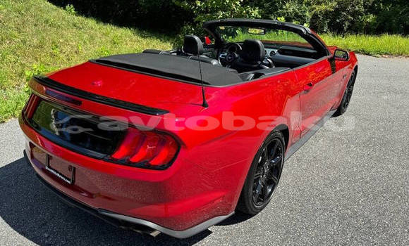 Buy Used Ford Mustang Red Car in Baki in Abseron Buy Used Ford Mustang Red Car in Baki in Abseron