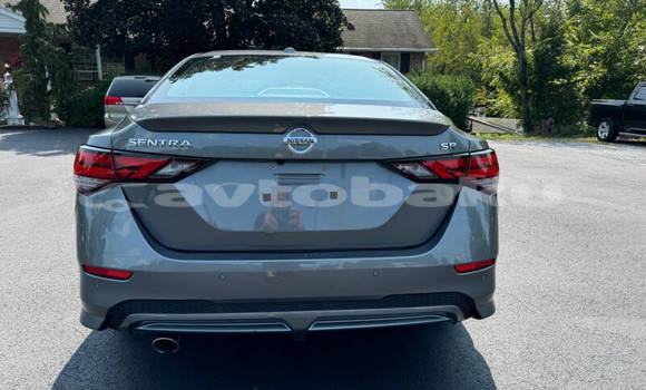 Buy Used Nissan Sentra Other Car in Agstafa in Qazax Buy Used Nissan Sentra Other Car in Agstafa in Qazax