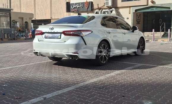 Buy Used Toyota Camry White Car in Agstafa in Qazax Buy Used Toyota Camry White Car in Agstafa in Qazax
