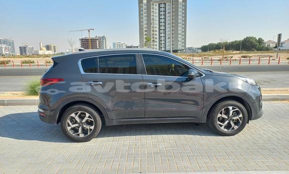 Buy Used Kia Sportage Other Car in Kurdamir in Sirvan Buy Used Kia Sportage Other Car in Kurdamir in Sirvan