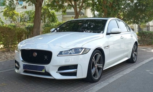Buy Used Jaguar XF White Car in Naxcivan in Naxcivan