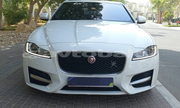 Buy Used Jaguar XF White Car in Naxcivan in Naxcivan Buy Used Jaguar XF White Car in Naxcivan in Naxcivan