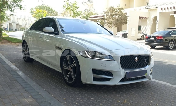 Buy Used Jaguar XF White Car in Naxcivan in Naxcivan Buy Used Jaguar XF White Car in Naxcivan in Naxcivan