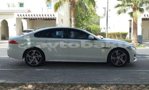 Buy Used Jaguar XF White Car in Naxcivan in Naxcivan Buy Used Jaguar XF White Car in Naxcivan in Naxcivan