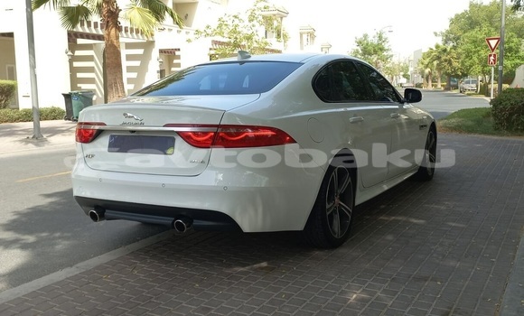 Buy Used Jaguar XF White Car in Naxcivan in Naxcivan Buy Used Jaguar XF White Car in Naxcivan in Naxcivan