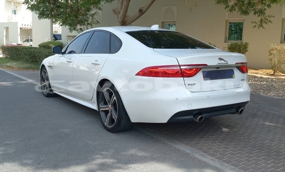 Buy Used Jaguar XF White Car in Naxcivan in Naxcivan Buy Used Jaguar XF White Car in Naxcivan in Naxcivan