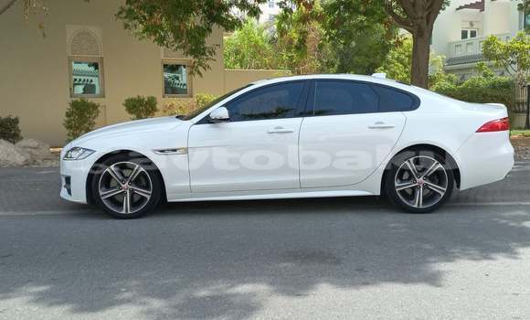 Buy Used Jaguar XF White Car in Naxcivan in Naxcivan Buy Used Jaguar XF White Car in Naxcivan in Naxcivan