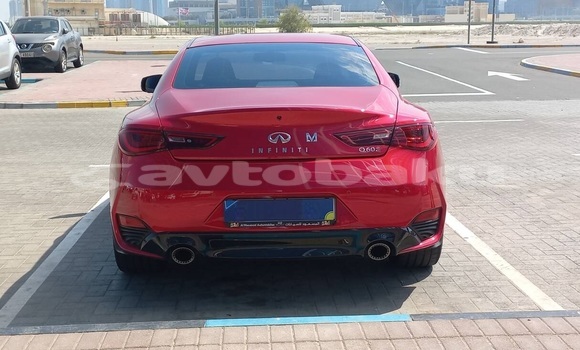 Buy Used Infiniti Q60 Red Car in Daskasan in Ganca Buy Used Infiniti Q60 Red Car in Daskasan in Ganca