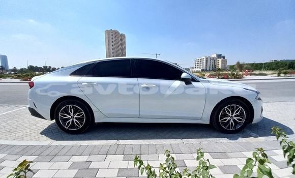 Buy Used Kia K5 White Car in Zaqatala in Saki Buy Used Kia K5 White Car in Zaqatala in Saki