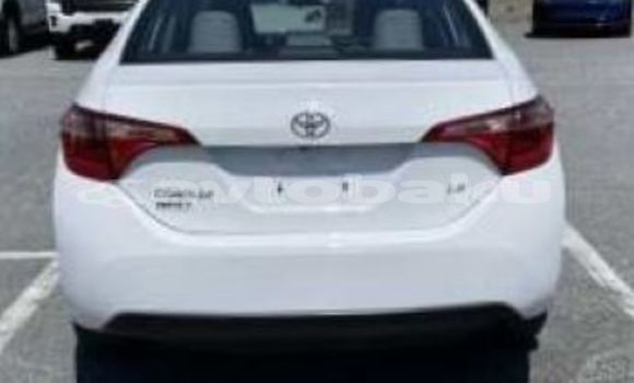 Buy Used Toyota Corolla White Car in Agsu in Sirvan Buy Used Toyota Corolla White Car in Agsu in Sirvan