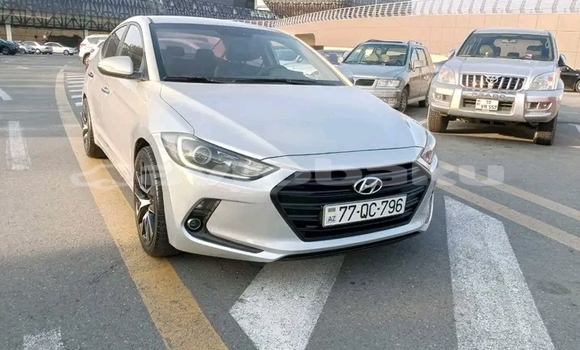 Buy Used Hyundai Elantra White Car in Ali Bayramli in Mugan-Salyan Buy Used Hyundai Elantra White Car in Ali Bayramli in Mugan-Salyan
