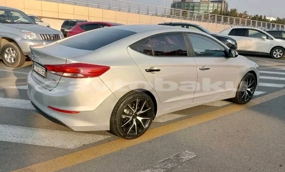 Buy Used Hyundai Elantra White Car in Ali Bayramli in Mugan-Salyan Buy Used Hyundai Elantra White Car in Ali Bayramli in Mugan-Salyan