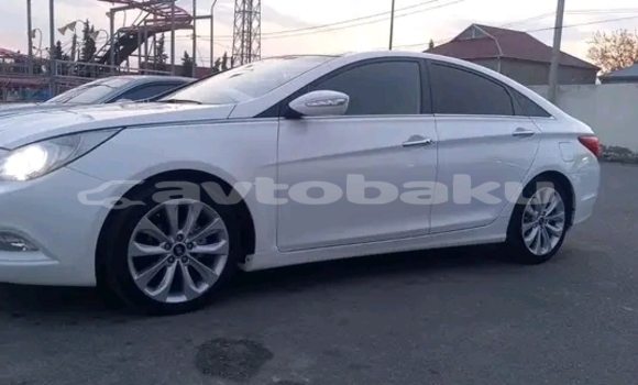 Buy Used Hyundai Sonata White Car in Ali Bayramli in Mugan-Salyan Buy Used Hyundai Sonata White Car in Ali Bayramli in Mugan-Salyan