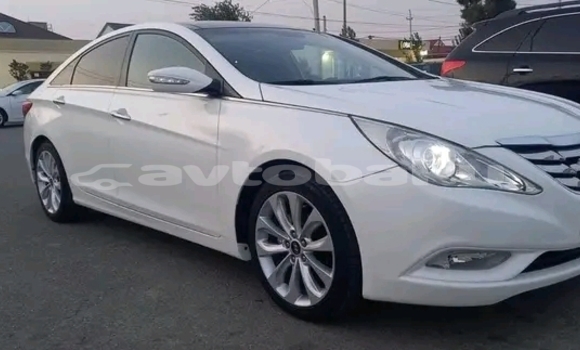 Buy Used Hyundai Sonata White Car in Ali Bayramli in Mugan-Salyan Buy Used Hyundai Sonata White Car in Ali Bayramli in Mugan-Salyan