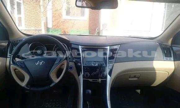 Buy Used Hyundai Sonata White Car in Ali Bayramli in Mugan-Salyan Buy Used Hyundai Sonata White Car in Ali Bayramli in Mugan-Salyan