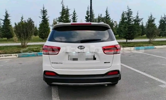 Buy Used Kia Sorento White Car in Ali Bayramli in Mugan-Salyan Buy Used Kia Sorento White Car in Ali Bayramli in Mugan-Salyan
