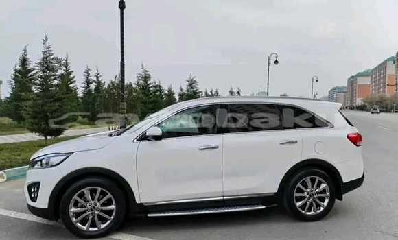 Buy Used Kia Sorento White Car in Ali Bayramli in Mugan-Salyan Buy Used Kia Sorento White Car in Ali Bayramli in Mugan-Salyan
