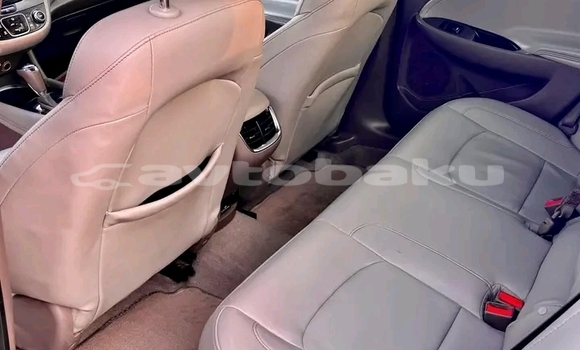 Buy Used Chevrolet Malibu White Car in Ali Bayramli in Mugan-Salyan Buy Used Chevrolet Malibu White Car in Ali Bayramli in Mugan-Salyan