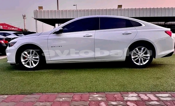 Buy Used Chevrolet Malibu White Car in Ali Bayramli in Mugan-Salyan Buy Used Chevrolet Malibu White Car in Ali Bayramli in Mugan-Salyan