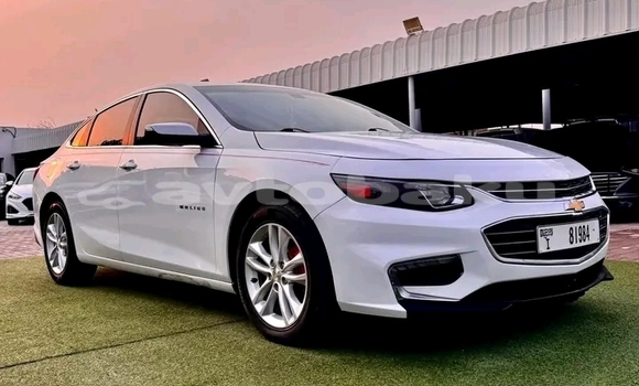 Buy Used Chevrolet Malibu White Car in Ali Bayramli in Mugan-Salyan Buy Used Chevrolet Malibu White Car in Ali Bayramli in Mugan-Salyan