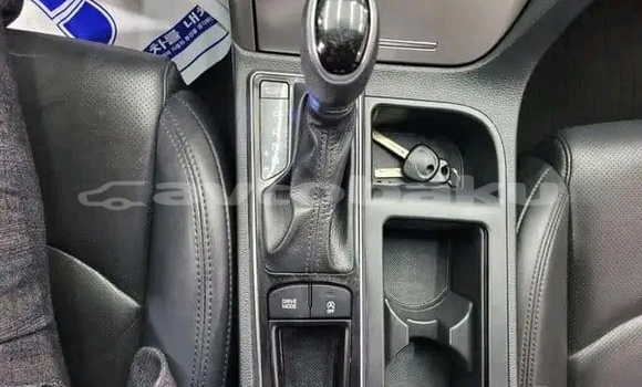 Buy Used Hyundai Sonata Black Car in Ali Bayramli in Mugan-Salyan Buy Used Hyundai Sonata Black Car in Ali Bayramli in Mugan-Salyan