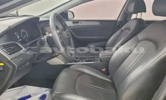 Buy Used Hyundai Sonata Black Car in Ali Bayramli in Mugan-Salyan Buy Used Hyundai Sonata Black Car in Ali Bayramli in Mugan-Salyan