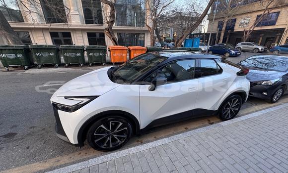 Buy Used Toyota C-HR White Car in Baki in Abseron