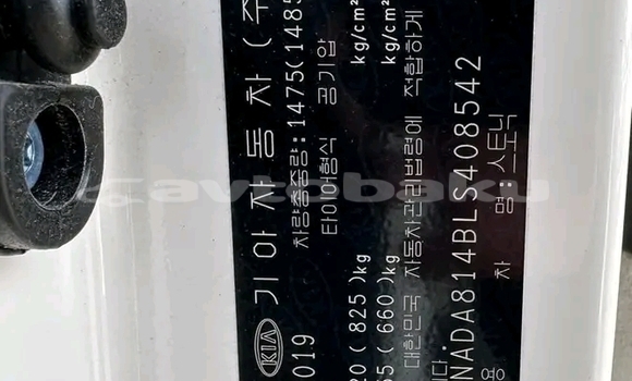 Buy Used Kia Stonic White Car in Ali Bayramli in Mugan-Salyan Buy Used Kia Stonic White Car in Ali Bayramli in Mugan-Salyan