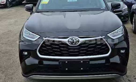 Buy Import Toyota Highlander Black Car in Ali Bayramli in Mugan-Salyan