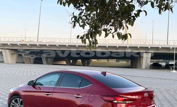 Buy Used Hyundai Elantra Red Car in Bina in Abseron