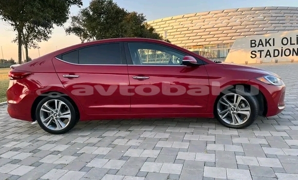 Buy Used Hyundai Elantra Red Car in Bina in Abseron Buy Used Hyundai Elantra Red Car in Bina in Abseron