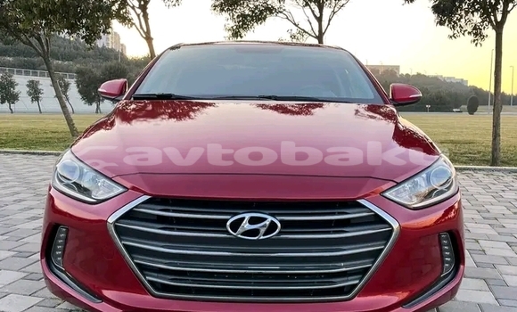 Buy Used Hyundai Elantra Red Car in Bina in Abseron Buy Used Hyundai Elantra Red Car in Bina in Abseron