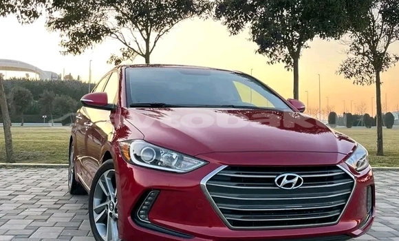 Buy Used Hyundai Elantra Red Car in Bina in Abseron Buy Used Hyundai Elantra Red Car in Bina in Abseron
