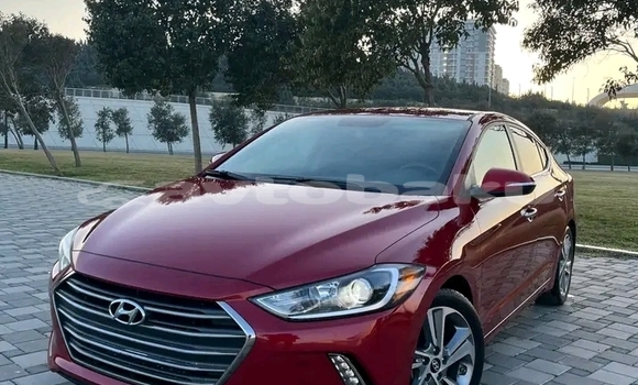 Buy Used Hyundai Elantra Red Car in Bina in Abseron Buy Used Hyundai Elantra Red Car in Bina in Abseron