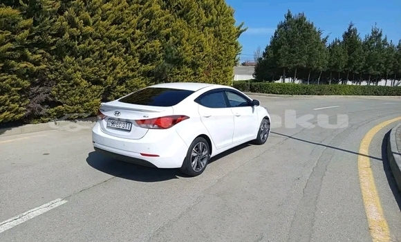 Buy Used Hyundai Elantra White Car in Ali Bayramli in Mugan-Salyan Buy Used Hyundai Elantra White Car in Ali Bayramli in Mugan-Salyan