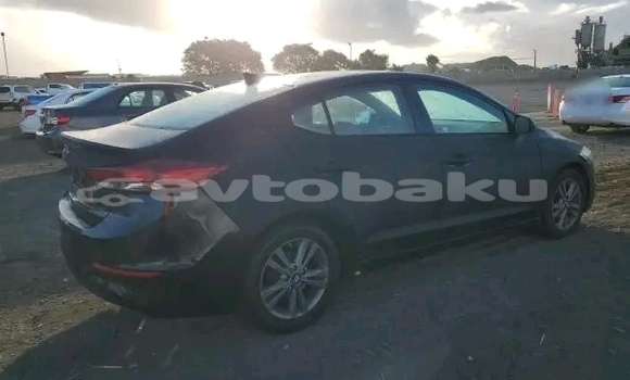 Buy Used Hyundai Elantra Other Car in Ali Bayramli in Mugan-Salyan