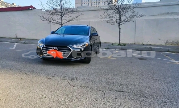 Buy Used Hyundai Elantra Black Car in Ali Bayramli in Mugan-Salyan Buy Used Hyundai Elantra Black Car in Ali Bayramli in Mugan-Salyan