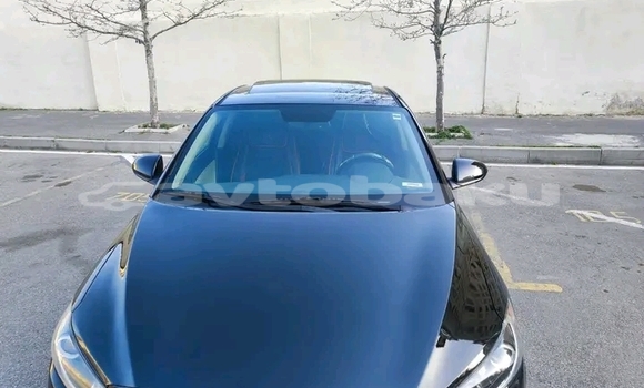 Buy Used Hyundai Elantra Black Car in Ali Bayramli in Mugan-Salyan Buy Used Hyundai Elantra Black Car in Ali Bayramli in Mugan-Salyan