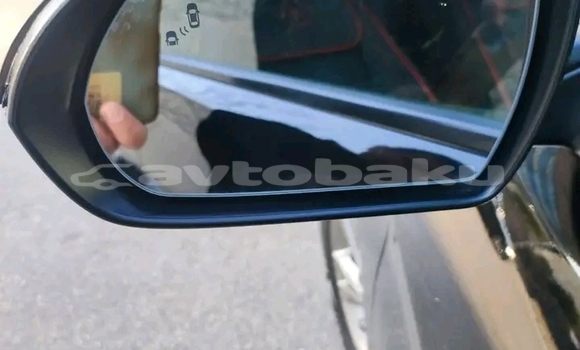 Buy Used Hyundai Elantra Black Car in Ali Bayramli in Mugan-Salyan Buy Used Hyundai Elantra Black Car in Ali Bayramli in Mugan-Salyan