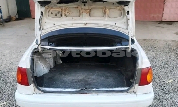 Buy Used Toyota Corolla White Car in Ali Bayramli in Mugan-Salyan Buy Used Toyota Corolla White Car in Ali Bayramli in Mugan-Salyan